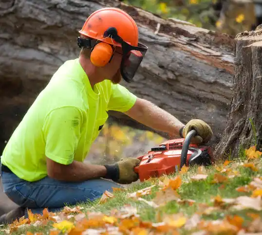 tree services Farmersville